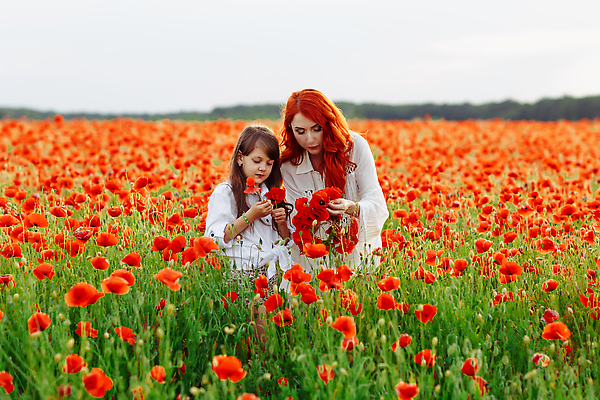 포토 JPG 해외이미지 백인 라이프스타일 여자 딸 행복 어린이 백그라운드 밭 가족 자연 놀이 엄마 함께함 건강 사랑 미소 사람 풍경 야외 두명 여름 뷰티 맑음 일몰 기쁨 시골 개화 양귀비 돌봄 무료 해외202310 해외포토 서양인 계절 꽃 감정 컨셉 농업 관계 모션 날씨 표정 생활 노을 생태계 파일형식