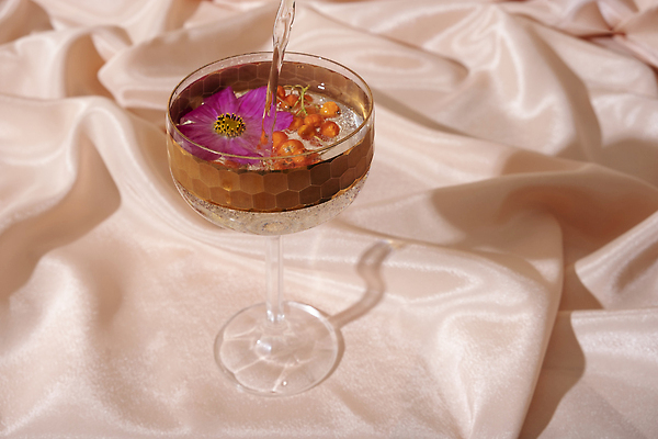 포토 JPG 해외이미지 식물 계절 꽃 음료 컬러 컨셉 단풍 오렌지 재료 전구 자연 유리 아이디어 건조 종류 사람없음 장식 물 축제 직물 심볼 장면 접기 정물화 해외202310 해외포토 자연요소 잎 과일 모션 재질 그림 생태계 파일형식