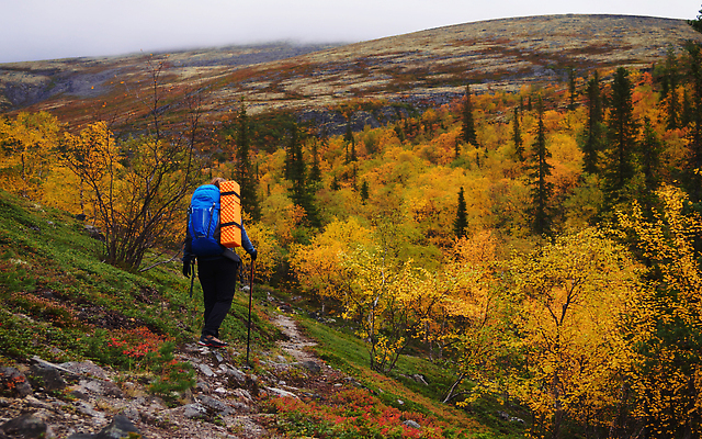 포토 JPG 해외이미지 라이프스타일 여자 스포츠 여행 백그라운드 컨셉 배낭 자연 휴가 산 건강 한명 야외 뷰티 여행객 걷기 계곡 트래킹 하이킹 자유 막대기 정상 언덕 루마니아 백패커 절정 하이커 혼자 해외202310 해외포토 1 유럽 가방 모션 레저 사람 생활 생태계 파일형식
