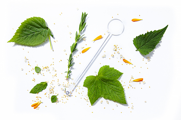 포토 JPG 해외이미지 식물 줄기 컬러 백그라운드 잎 재료 자연 실내 사람없음 초록색 세트 흰색 신선 그룹 맛 약국 수집 민트 허브 묘사 유기농 향기 냄새 아로마 슛 내추럴 고립 엘리먼트 그리너리 해외202310 해외포토 웰빙 컨셉 의학 내부 생태계 파일형식 트랜드컬러