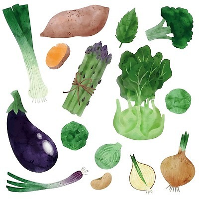 EPS 해외이미지 잎 일러스트 가지 양파 사람없음 양상추 브로콜리 유기농 아스파라거스 고구마 손그림 대파 비건 해외202310 해외일러스트 식물 웰빙 채소 뿌리채소 파 채식주의자 파일형식 벡터