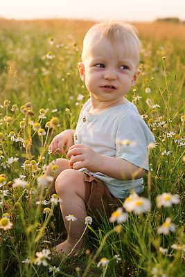 포토 JPG 해외이미지 식물 라이프스타일 꽃 행복 야생동물 어린이 꽃다발 밭 자연 한명 사람 앉기 소년 뒷모습 초록색 금발 햇빛 뷰티 노란색 걷기 환경 봄 산책 기쁨 육아 자유 아기 허브 데이지 내추럴 알레르기 걸음마 캐모마일 해외202310 해외포토 동물 1 헤어스타일 계절 남자 감정 뷰포인트 컬러 컨셉 농업 모션 휴식 생활 태양 질병 생태계 파일형식
