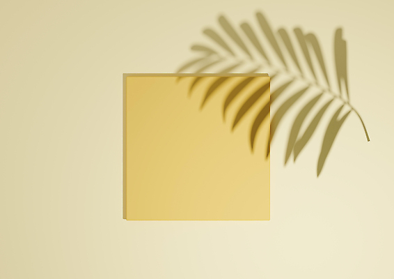 포토 JPG 해외이미지 모양 템플릿 디자인 백그라운드 잎 일러스트 실내 서기 사람없음 노란색 3D 우주 공백 무대 발표 상품 전시회 진열장 만들기 심플 장면 기하학 단상 항공촬영 구성 지휘대 플랫레이 미니멀 비어있는 해외202310 해외일러스트 식물 뷰포인트 컬러 무늬 모션 내부 전시 플랫 디지털합성 파일형식