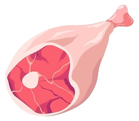 EPS 해외이미지 분홍색 일러스트 단면 생고기 육류 사람없음 신선 해외202310 해외일러스트 컬러 식재료 파일형식 벡터