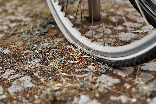 포토 JPG 해외이미지 라이프스타일 공원 유럽 도로 스포츠 여행 백그라운드 교통시설 거리 건강 사람 사람없음 야외 컬러풀 여행객 환경 금속 자전거 도시 바퀴 그룹 역 승차 주차 버리기 서비스 순환 타이어 타운 일반 제비 대여 깨짐 렌탈 바이킹 생태학 옛날 줄서기 많음 해외202310 해외포토 공공시설 교육 나라 길 컬러 교통 컨셉 모션 재질 조류 생활 바이크 시설 파일형식