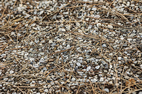 포토 JPG 해외이미지 디자인 도로 길 벽 백그라운드 패턴 포장 건축양식 자연 벽지 표면 추상 거리 바닥 사람없음 야외 갈색 검은색 어둠 회색 조약돌 바위 도시 거친 보행로 아스팔트 천 타일 묘사 질감 시멘트 내추럴 그런지 땅바닥 방법 옛날 콘크리트 화강암 해외202310 해외포토 건축 컬러 무늬 교통시설 암석 돌_바위 직물 생태계 파일형식