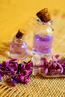 포토 JPG 해외이미지 분홍색 근접촬영 사람없음 아웃포커스 보라색 오일 아로마테라피 라일락 내추럴 에센스 해외202310 해외포토 꽃 음식 뷰포인트 컬러 촬영기법 화장품 테라피 파일형식