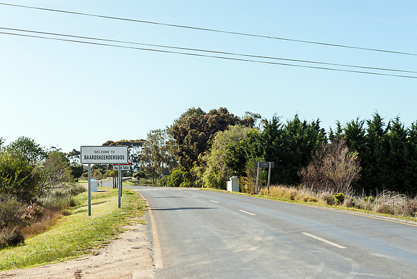 포토 JPG 해외이미지 나무 도로 아프리카 아침 풍경 사람없음 햇빛 마을 맑음 봄 시골 아스팔트 관목 남아프리카 해외202310 해외포토 주간 식물 계절 나라 길 교통시설 날씨 태양 파일형식