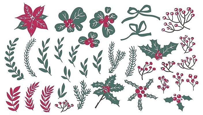 EPS 해외이미지 나무 식물 디자인 계절 열매 꽃 꽃다발 잎 크리스마스장식 크리스마스 꽃무늬 일러스트 자연 새해 건조 장식 초록색 세트 약 화환 가을 나뭇가지 시골 축하 인사 신선 소나무 12월 만화 다발 허브 원예 상록수 내추럴 고립 스트랩 이국적 벡터 해외202310 해외일러스트 기념일 컬러 컨셉 무늬 의학 취미 예절 날짜 생태계 파일형식