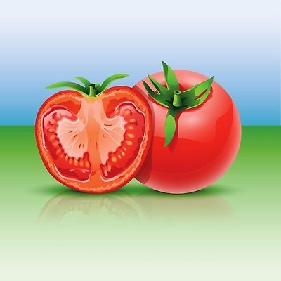 EPS 해외이미지 식물 1 길 음식 컬러 조각 백그라운드 농업 다이어트 토마토 채소 과일 일러스트 재료 자연 건강 요리 빨간색 초록색 빛 식사 샐러드 젖음 흰색 신선 원형 케첩 자르기 먹기 유기농 날것 내추럴 고립 구성 숙성 채식주의자 맛있는 해외202310 해외일러스트 도형 웰빙 산업 모션 소스_음식 생태계 채식 파일형식 벡터