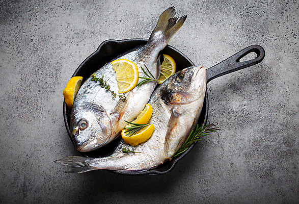 포토 JPG 해외이미지 검은배경 어류 사람없음 신선 냄비 레몬 로즈메리 해외202310 해외포토 백그라운드 과일 검은색 수중동물 솥 허브 파일형식