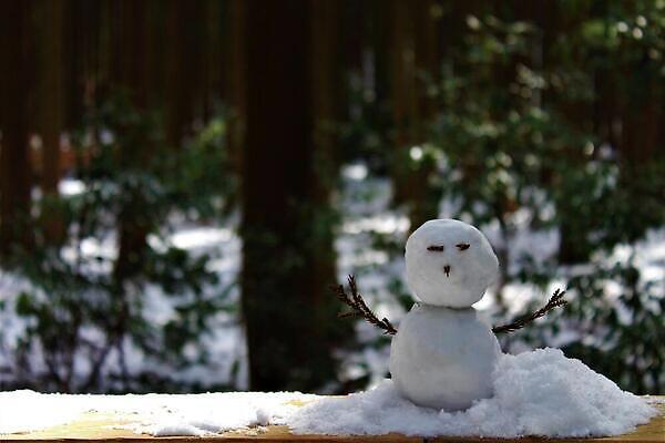 포토 JPG 해외이미지 나무 겨울 자연 눈사람 사람없음 설원 추위 눈 해외202310 해외포토 자연요소 식물 계절 날씨 눈_날씨 생태계 파일형식