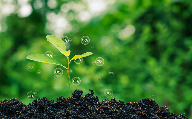 포토 JPG 해외이미지 나무 지구 컨셉 비즈니스 자동차 자연 미래 아이디어 사람없음 초록색 경제 글로벌 지구본 환경 재활용 에너지 성장 긴급 오염 분위기 변화 그린에너지 제조 보호 계획 발자국 하락 에코 투자 지구온난화 유지 영 삭제 개발 경영 기후변화 배기가스 생태학 이산화탄소 줄이기 탄소 해외202310 해외포토 식물 교육 육상교통 컬러 자국 모션 날씨 숫자 친환경 생태계 파일형식