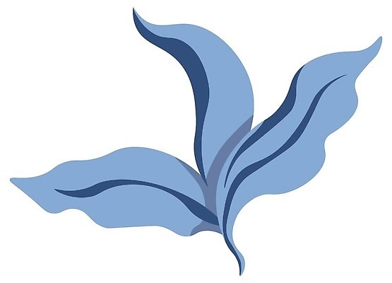 EPS 해외이미지 나무 식물 디자인 계절 화초 잎 꽃무늬 일러스트 자연 미술 장식 봄 성장 나뭇가지 시골 신선 개화 우아함 숲 큼 배열 허브 관목 묘사 에코 유기농 상록수 내추럴 이국적 벡터 그리너리 미니멀 해외202310 해외일러스트 웰빙 꽃 컨셉 무늬 문화예술 환경 크기 생태계 파일형식 트랜드컬러