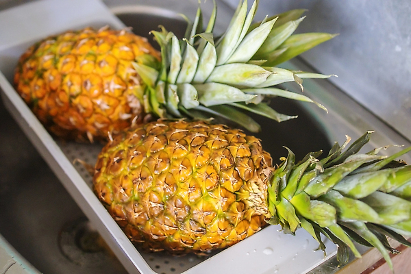 포토 JPG 해외이미지 라이프스타일 손 포즈 아파트 주택 건강 가면 안전 사람없음 초록색 물 노란색 주방 젖음 욕실 바이러스 떨어짐 보호 위생 씻기 질병 파인애플 싱크대 예방 감염 전염 비누 고무 아보카도 위생관리 재채기 전염병 파파야 스플래쉬 코로나바이러스 해외202310 해외포토 자연요소 컬러 컨셉 과일 의학 관리 건물 생활 신체부위 위생용품 청결 열대과일 개수대 파일형식