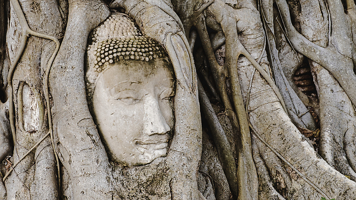 포토 JPG 해외이미지 나무 공원 여자 아시아 종교 문화 조각 여행 불교 건축양식 태국 휴가 벽돌 안테나 미술 동양인 사람없음 건물 조각상 탑 도시 사찰 역사 재산 명상 폐허 방콕 사리탑 옛날 왕국 해외202310 해외포토 식물 건축물 공공시설 건축 나라 통신 종교건축 문화예술 사람 인종 금융 조형물 파일형식