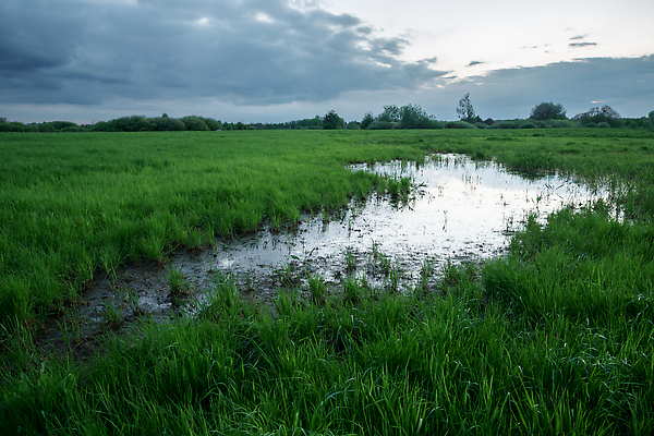 포토 JPG 해외이미지 구름 컬러 백그라운드 밭 자연 하늘 날씨 풍경 사람없음 초록색 물 파란색 뷰티 환경 어둠 황혼 봄 새벽 회색 젖음 전원 시골 습지 저녁 큼 홍수 웅덩이 장면 진흙 문제 폴란드 수평선 해외202310 해외포토 자연요소 계절 유럽 농업 일몰 전기에너지 야간 크기 자연재해 생태계 파일형식