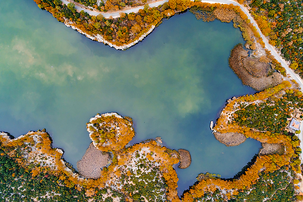 포토 JPG 해외이미지 나무 식물 구름 호수 야생동물 섬 여행 백그라운드 자연 하늘 휴가 산 파노라마 국립공원 풍경 사람없음 야외 초록색 물 하이앵글 컬러풀 뷰티 반사 환경 가을 숲 칠면조 내추럴 드론 방법 생태학 조감도 해외202310 해외포토 자연요소 동물 계절 공원 교육 뷰포인트 컬러 조류 촬영기법 생태계 파일형식