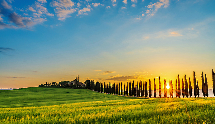 포토 JPG 해외이미지 나무 식물 꽃 유럽 여행 백그라운드 밭 농업 자연 하늘 파노라마 사람없음 초록색 파란색 빛 햇빛 태양 뷰티 농장 농경지 일출 일몰 봄 이탈리아 시골 언덕 토스카나 해외202310 해외포토 자연요소 계절 나라 산업 컬러 촬영기법 노을 생태계 파일형식