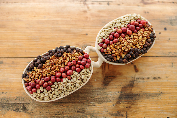 포토 JPG 해외이미지 식물 열매 산업 커피 음료 음식 컬러 백그라운드 농업 비즈니스 아프리카 자연 탁자 콩 건조 사람없음 야외 목재 빨간색 초록색 농작물 태양 농장 갈색 노란색 검은색 원두 수확 신선 뜨거움 체리 사발 닫기 굽기 유기농 꿀 내추럴 르완다 방법 숙성 아라비카 카페인 해외202310 해외포토 자연요소 나무 웰빙 나라 가구 과일 재료 모션 곡류 사기그릇 구이 생태계 파일형식