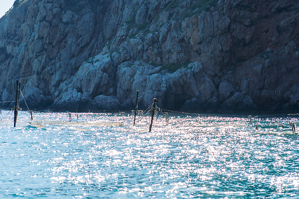 포토 JPG 해외이미지 유럽 바다 여행 백그라운드 건축양식 자연 하늘 산 파노라마 사람없음 건물 파란색 태양 뷰티 여행객 항구 도시 만 네트워크 보트 성 언덕 러시아 포트 타운 랜드마크 해외202310 해외포토 자연요소 건축물 건축 나라 컬러 배_교통 교통시설 촬영기법 사람 생태계 파일형식