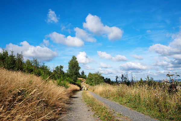 포토 JPG 해외이미지 식물 유럽 길 여행 자국 자연 하늘 독일 파노라마 풍경 사람없음 야외 관광지 환경 하이킹 시골 오솔길 생태계 내추럴 해외202310 해외포토 나라 레저 촬영기법 파일형식