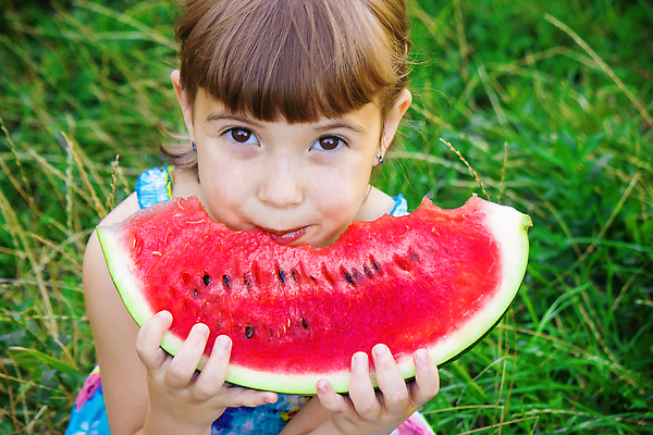포토 JPG 해외이미지 배너 응시 열매 딸 어린이 음식 조각 백그라운드 과일 가족 자연 휴가 디저트 수박 한명 야외 빨간색 태양 뷰티 소풍 어둠 수확 시골 뜨거움 큼 시원함 자르기 먹기 시골집 휴양지 질감 타입 제비 유지 격파 카피스페이스 맛있는 해외202310 해외포토 자연요소 식물 1 시선 컬러 농업 관계 모션 조류 주택 사람 야외활동 공백 장소 크기 생태계 파일형식