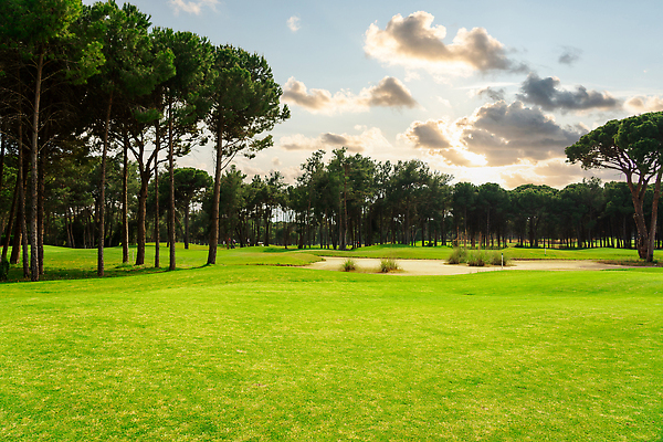 포토 JPG 해외이미지 나무 호수 스포츠 백그라운드 밭 골프 골프장 놀이 하늘 파노라마 잔디 사람없음 초록색 물 햇빛 태양 맑음 골프채 소나무 강의 클럽 휴양지 칠면조 페어웨이 카피스페이스 비어있는 해외202310 해외포토 자연요소 식물 컬러 농업 스포츠시설 조류 날씨 골프용품 촬영기법 구기 공백 장소 파일형식