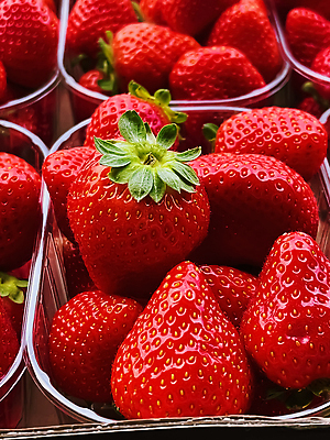 포토 JPG 해외이미지 과일 포장 딸기 사람없음 빨간색 무더기 플라스틱통 해외202310 해외포토 컬러 통 플라스틱 파일형식