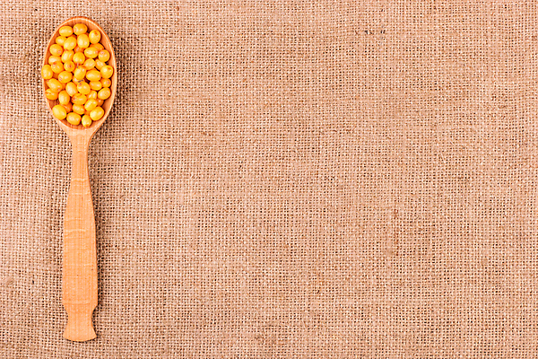 포토 JPG 해외이미지 식물 계절 열매 음식 컬러 백그라운드 오렌지 과일 재료 자연 건강 사람없음 농작물 약 노란색 숟가락 나뭇가지 신선 그룹 작음 먹기 허브 오브젝트 상쾌 유기농 날것 숙성 해외202310 해외포토 나무 웰빙 감정 농업 의학 모션 수저 크기 생태계 파일형식