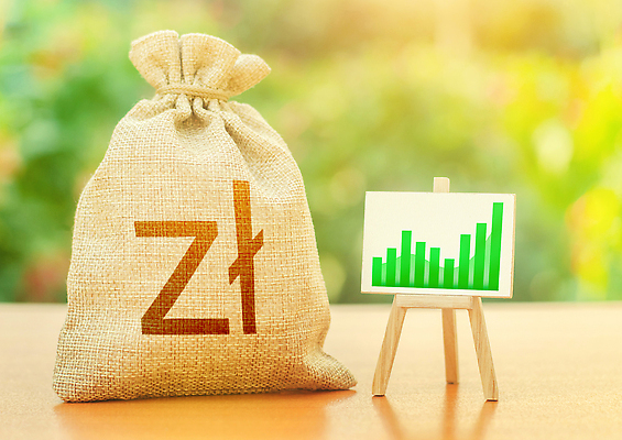 포토 JPG 해외이미지 비즈니스 사람없음 금융 경제 공연 저축 성장 예측 은퇴 속도 투자 상승 긍정 광택 이익 수익 폴란드 대출 개선 기르기 세금 수도권 수입 업그레이드 연금 예산 해외202310 해외포토 유럽 컨셉 이벤트 지역 돌봄 파일형식