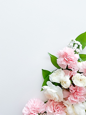 포토 JPG 해외이미지 꽃 잎 사람없음 봄 흰배경 카피스페이스 해외202310 해외포토 식물 계절 백그라운드 공백 흰색 파일형식