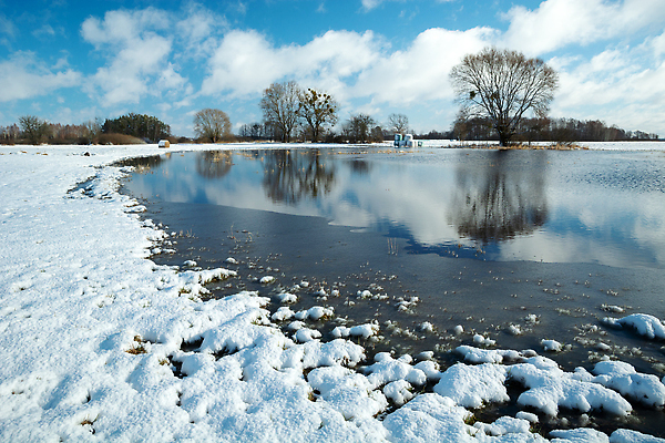 포토 JPG 해외이미지 나무 구름 계절 호수 백그라운드 겨울 밭 자연 하늘 날씨 풍경 사람없음 야외 목재 물 파란색 빛 햇빛 뷰티 반사 맑음 냉동 얼음 추위 흰색 전원 폴란드 2월 수평선 해외202310 해외포토 자연요소 식물 유럽 컬러 농업 재료 태양 날짜 전기에너지 생태계 파일형식