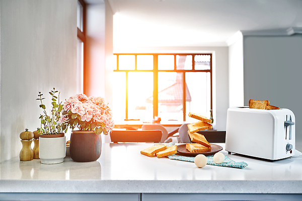 포토 JPG 해외이미지 식재료 창문 사람없음 햇빛 계란 꽃병 아침식사 식빵 토스트 토스트기 해외202310 해외포토 꽃 빵 태양 알 식사 가전제품 파일형식