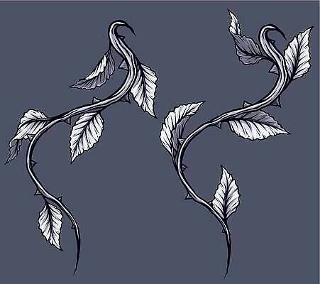 EPS 해외이미지 식물 디자인 꽃 실루엣 선 줄기 백그라운드 잎 꽃무늬 일러스트 자연 추상 그림자 미술 그래픽 장식 초록색 세트 장미 검은색 회색 수확 흰색 나뭇가지 가시 만화 문신 심볼 묘사 복고 날카로움 윤곽 스파이크 나누기 고립 엘리먼트 벡터 디테일 해외202310 해외일러스트 나무 컬러 무늬 농업 문화예술 촬영기법 생태계 파일형식