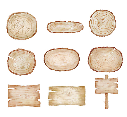 포토 JPG 해외이미지 나무 손 디자인 백그라운드 일러스트 자연 표면 추상 수채화 사람없음 목재 세트 줄무늬 판넬 원형 거친 널 낟알 천 수집 질감 내추럴 복잡 수목 디테일 해외202310 해외일러스트 도형 식물 컨셉 무늬 재료 신체부위 직물 생태계 파일형식