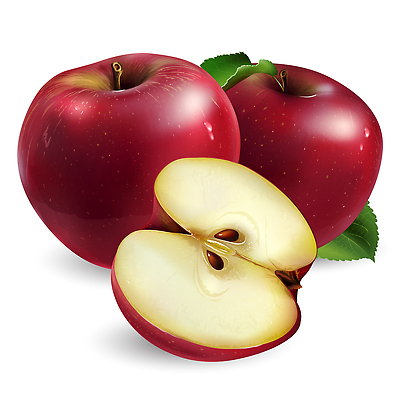 포토 JPG 해외이미지 잎 단면 사람없음 사과 그림 해외202310 해외포토 식물 과일 파일형식