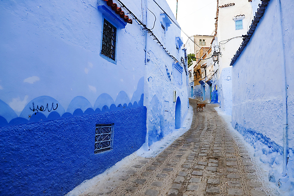 포토 JPG 해외이미지 전통 문화 벽 컬러 여행 건축양식 아프리카 거리 주택 동양인 사람없음 건물 파란색 컬러풀 마을 도시 중세 재산 타운 모로코 랜드마크 메디나 옛날 해외202310 해외포토 건축물 건축 나라 인종 금융 역사 파일형식