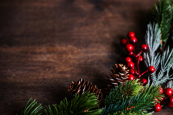 포토 JPG 해외이미지 나무 열매 백그라운드 컨셉 크리스마스 탁자 휴가 프레임 사람없음 목재 장식 빨간색 세트 축제 신용카드 상록수 원뿔 카피스페이스 국경 해외202310 해외포토 도형 식물 기념일 컬러 가구 재료 금융 공백 파일형식