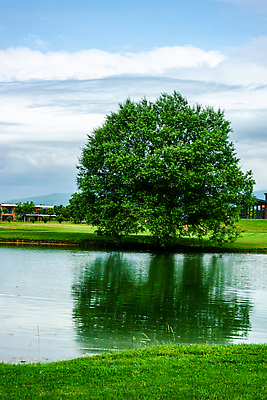포토 JPG 해외이미지 나무 공원 호수 여행 밭 골프 건축양식 놀이 벽돌 주택 풍경 사람없음 야외 건물 초록색 물 여름 반사 정원 게임 시골 연못 버드나무 묘사 아치 조지아 해외202310 해외포토 자연요소 식물 건축물 계절 공공시설 건축 컬러 농업 구기 동유럽 파일형식