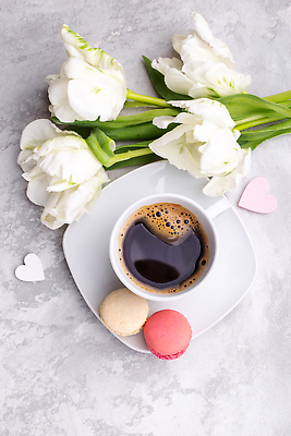 포토 JPG 해외이미지 꽃 커피 음료 잎 아침 콩 씨앗 사람없음 주방 식당 어둠 카페 회색 머그컵 원두 흰색 시골 신선 뜨거움 아침식사 굽기 메뉴 질감 아로마 쿠바 카푸치노 에스프레소 칠면조 마카롱 항공촬영 그런지 단절 땅바닥 블랙커피 시나몬 양조 옛날 카페인 핸드메이드 카피스페이스 해외202310 해외포토 주간 식물 뷰포인트 컬러 조류 디저트 곡류 바닥 컵 상점 식사 공백 중앙아메리카 구이 파일형식