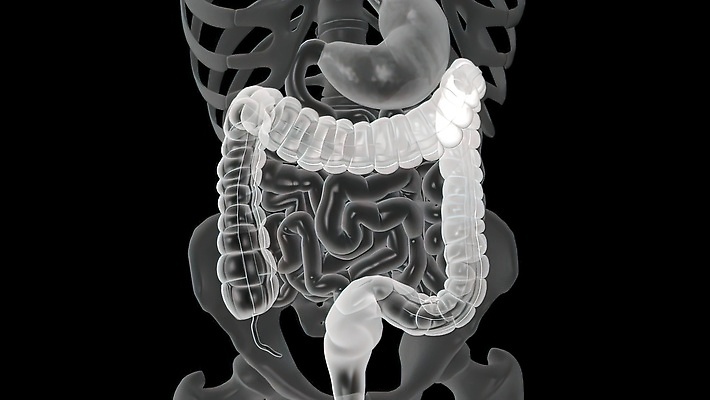 포토 JPG 해외이미지 과학 신체 해부 청진기 자연 건강 병원 사람없음 치료 약 의사 질병 예방 암 외과 테라피 방사선 블러 종양 해외202310 해외포토 의학 의료기기 뷰티 의료진 생태계 파일형식