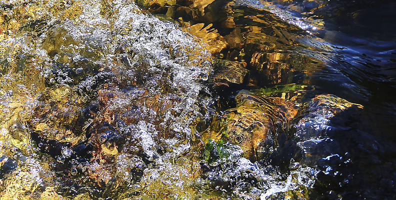 포토 JPG 해외이미지 공원 호수 여행 백그라운드 단풍 오렌지 자연 산 바닥 사람없음 야외 초록색 물 강 뷰티 환경 봄 폭포 개울 숲 내추럴 해외202310 해외포토 자연요소 계절 공공시설 컬러 잎 과일 생태계 파일형식
