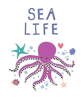 EPS 해외이미지 일러스트 조개 불가사리 어류 사람없음 보라색 문어 해외202310 해외일러스트 컬러 어패류 극피동물 연체동물 수중동물 파일형식 벡터