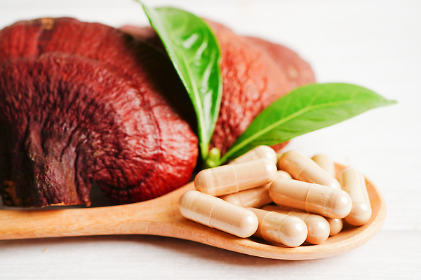 포토 JPG 해외이미지 잎 건강 사람없음 알약 약초 나무숟가락 영지버섯 해외202310 해외포토 식물 약 숟가락 버섯 풀_식물 파일형식