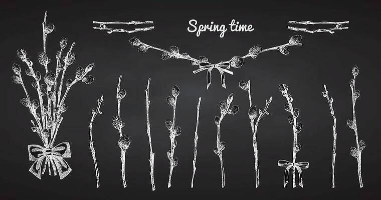 EPS 해외이미지 나무 식물 1 디자인 배너 계절 꽃 실루엣 선 꽃다발 백그라운드 잎 꽃무늬 일러스트 자연 부활절 프레임 그래픽 노란색 파티 정원 고양이 칠판 봄 낭만 수확 흰색 나뭇가지 호주 낙서 8 스케치 수집 버드나무 심볼 분필 복고 손그림 판화 일요일 고립 엘리먼트 벡터 국경 해외202310 해외일러스트 기념일 컬러 컨셉 무늬 농업 포유류 촬영기법 미술 이벤트 반려동물 숫자 오세아니아 초크 생태계 요일 파일형식