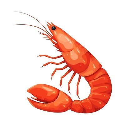 EPS 해외이미지 동물 디자인 실루엣 음식 바다 백그라운드 오렌지 일러스트 재료 자연 추상 조개 새우 건강 육류 갑각류 어류 요리 미술 빨간색 식당 식사 저녁식사 껍질 흰색 신선 시장 만화 심볼 해산물 오브젝트 사인 메뉴 날것 고립 단백질 삶기 벡터 맛있는 해외202310 해외일러스트 컬러 무늬 과일 식재료 문화예술 어패류 촬영기법 상점 수중동물 생태계 영양소 파일형식