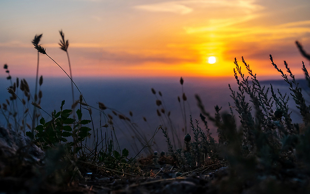 포토 JPG 해외이미지 유럽 바다 여행 백그라운드 자연 하늘 산 국립공원 풍경 사람없음 야외 초록색 물 여름 파란색 뷰티 걷기 일출 고요 시골 언덕 부식 아일랜드 대서양 내추럴 노르망디 지질학 해외202310 해외포토 자연요소 계절 공원 교육 나라 컬러 모션 노을 생태계 파일형식