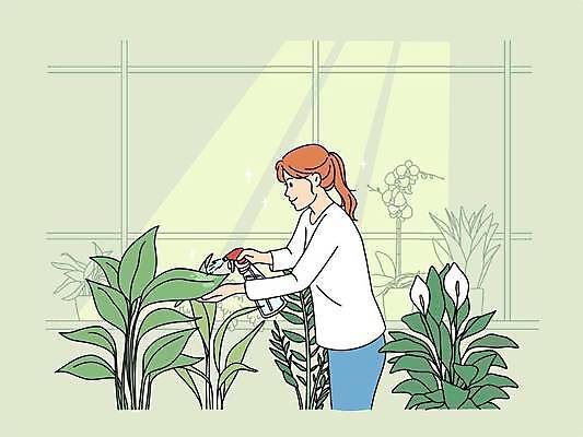 EPS 해외이미지 식물 무료이미지 여자 화분 화초 일러스트 실내 들기 성인 취미 초록색 물주기 원예 분무기 돌봄 온실 성인여자한명만 벡터 해외202310 해외일러스트 컬러 모션 사람 내부 여자한명만 성인여자만 파일형식 무료콘텐츠