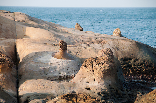 포토 JPG 해외이미지 공원 바다 자연 사람없음 대만 내추럴 전국 해외202310 해외포토 공공시설 아시아 생태계 파일형식